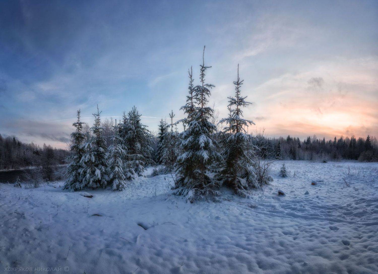 , Хохряков Николай