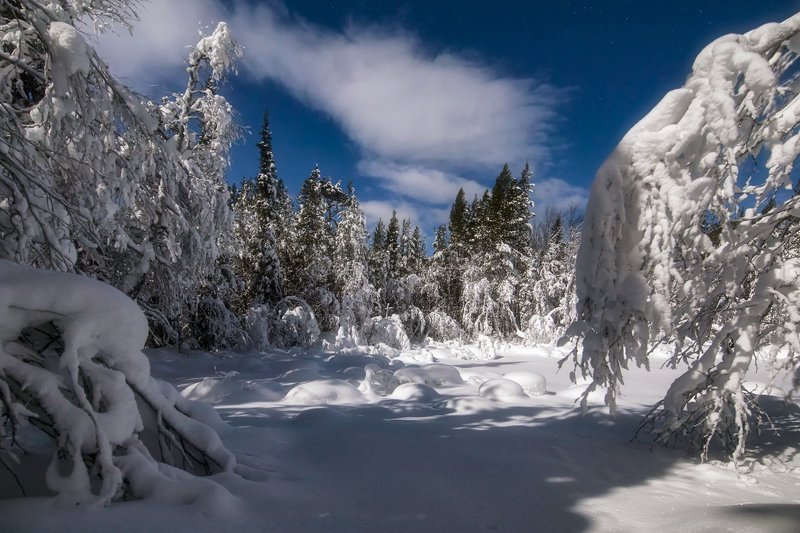 Лунная ночь фото превью
