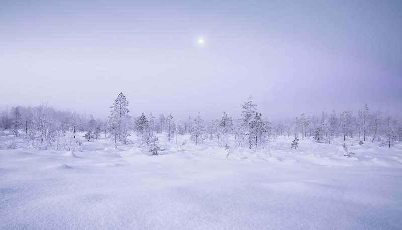 зима снег утро Мороз фото превью