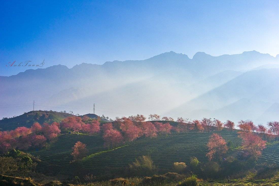 #sellingphoto.#landscape.#sapavietnam., Tuan Guitare