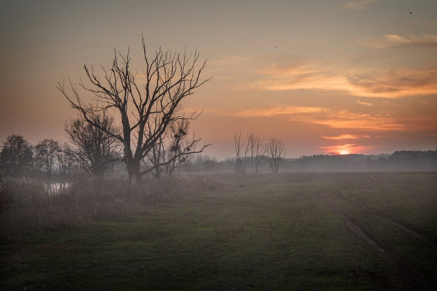 , Чистаев Александр