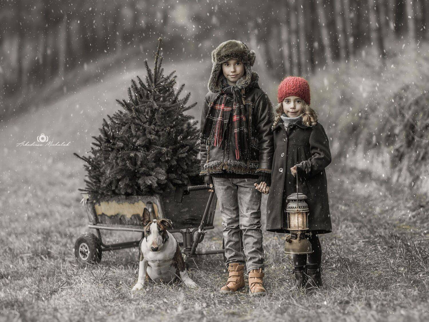 , Arkadiusz Michalak