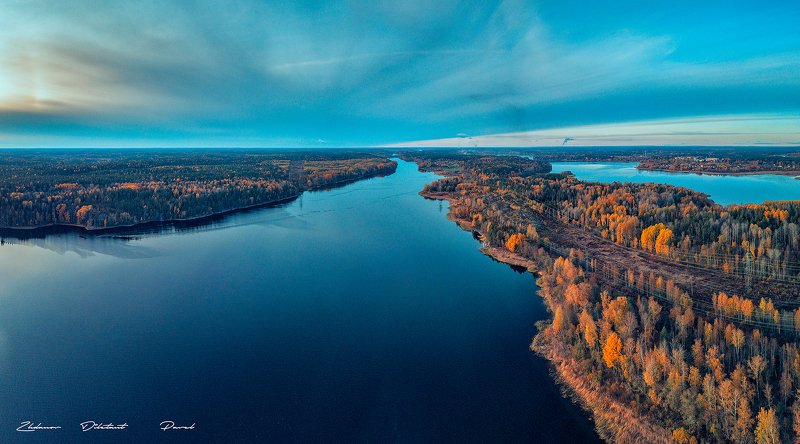 Синела осень золотая. фото превью