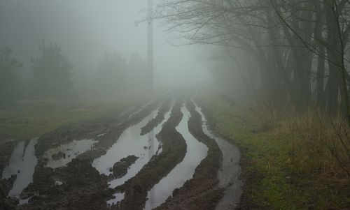 Дороги