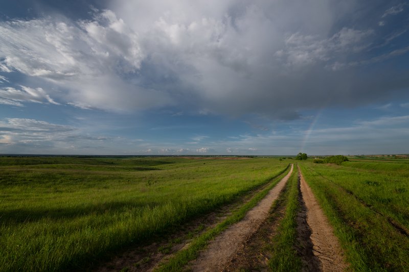 после майской грозы... фото превью