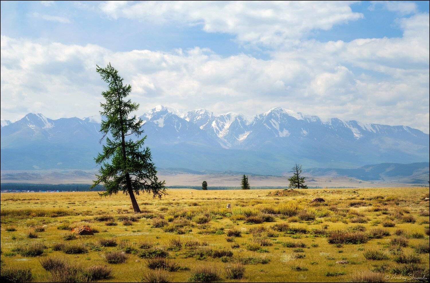 , Андрей Шумилин