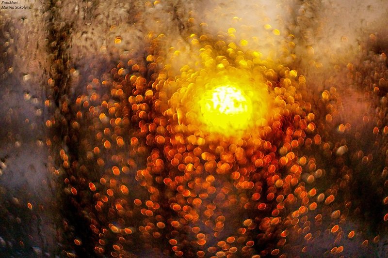 Про солнышко. фото превью