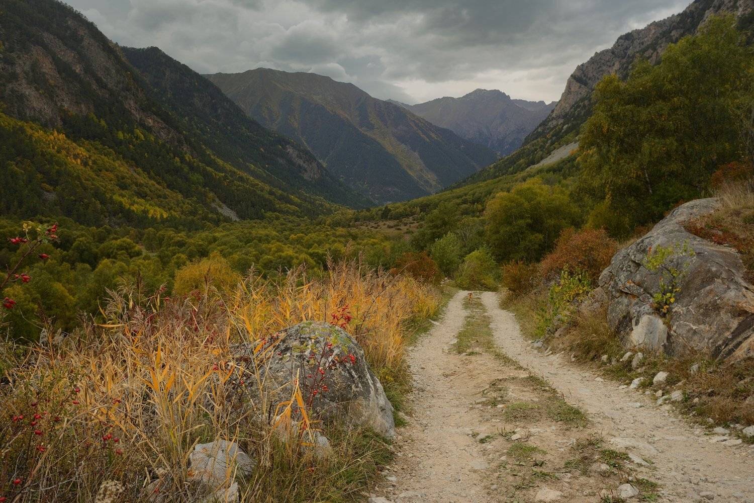 горы кавказ осень лес дорога, Александр Жарников