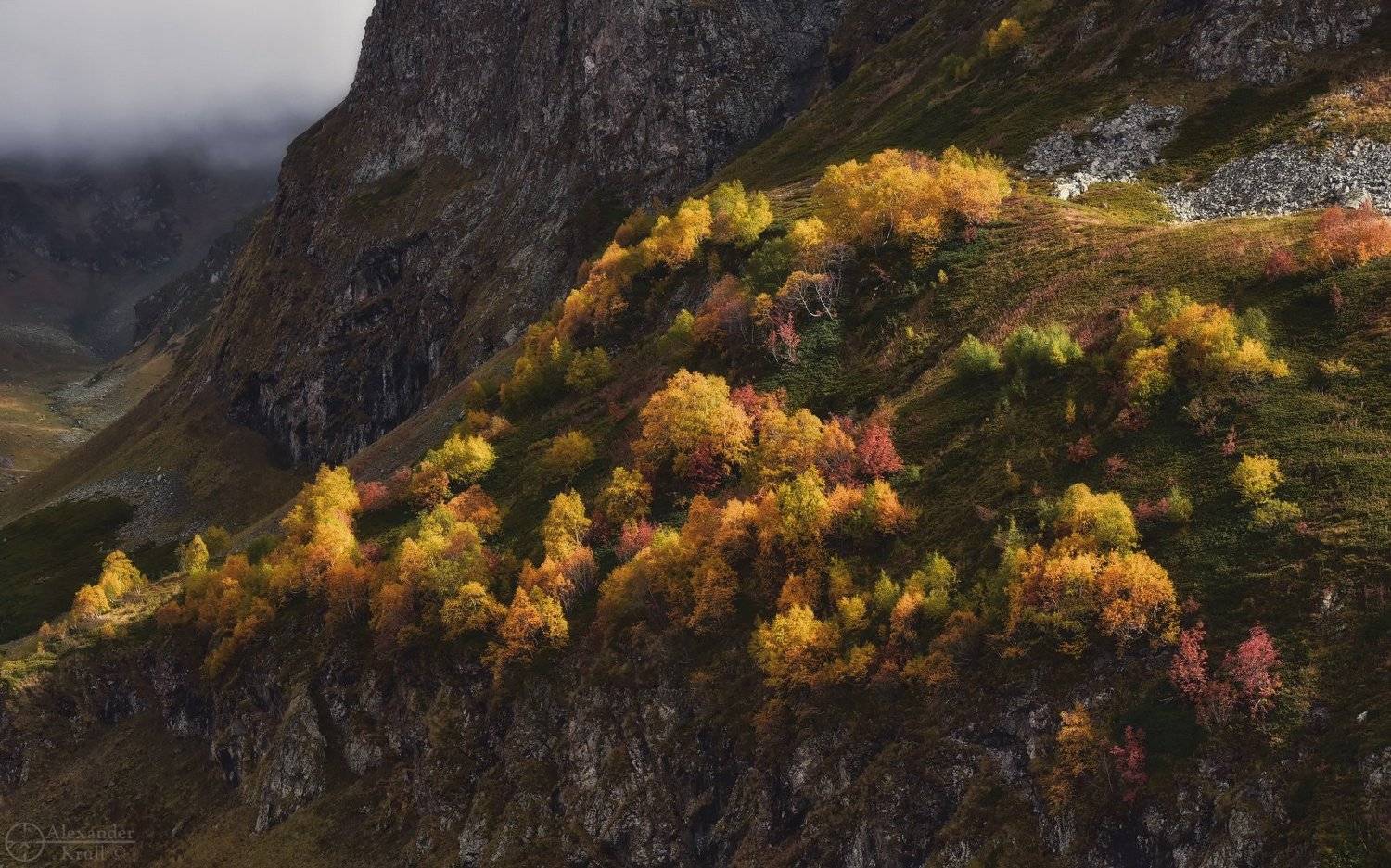 , Александр Круль