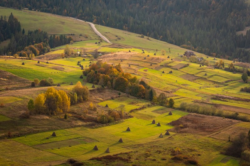 карпаты. осень. вечер. долина. стога сена. Вечер в Карпатах фото превью