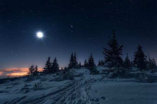 Night Shine