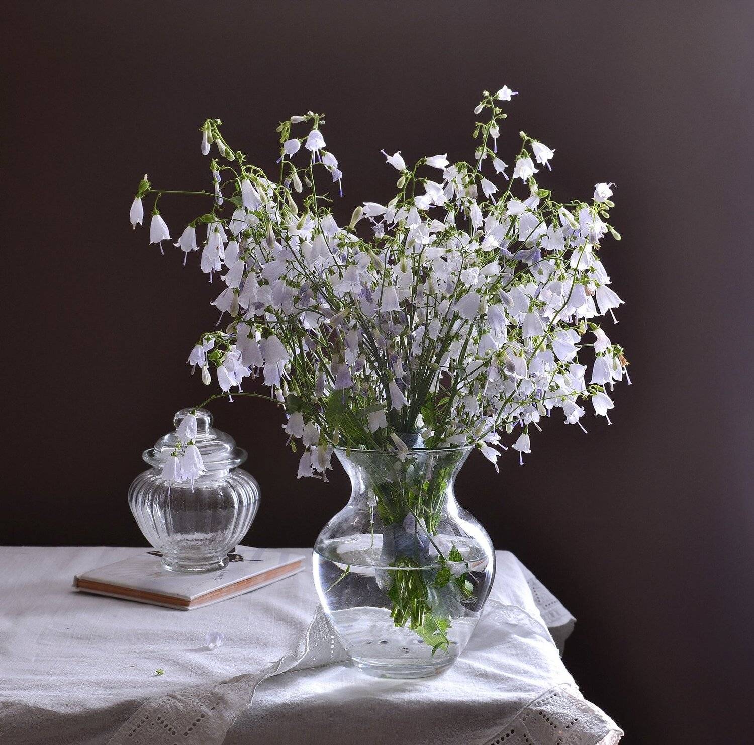 натюрморт,композиция,свет,лето,букет,колокольчик,ваза, Инаида