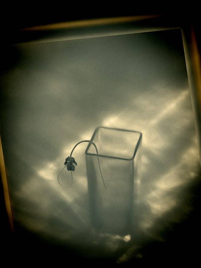 , T. Bondarenko