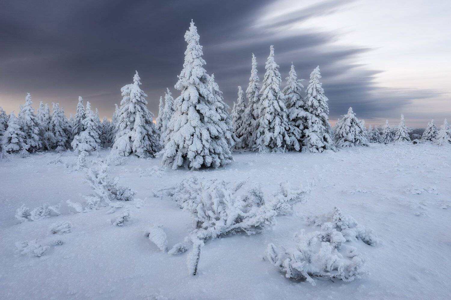 , Михаил Туркеев