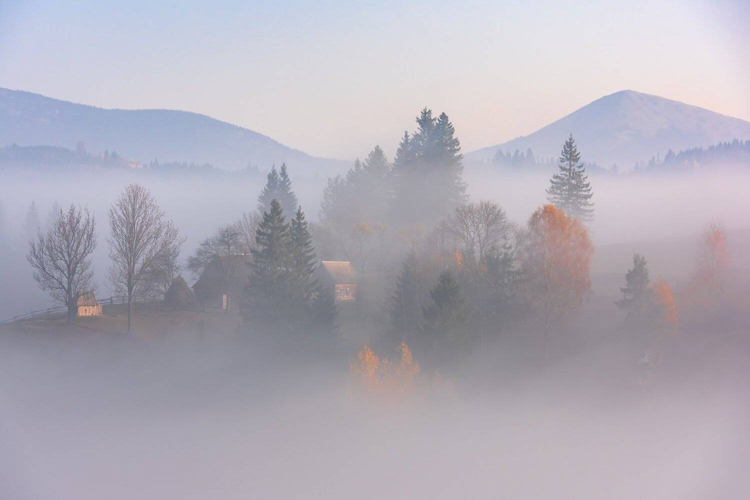 карпаты. осень. туман. рассвет, Татьяна Степанова
