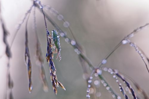 За минутку до восхода