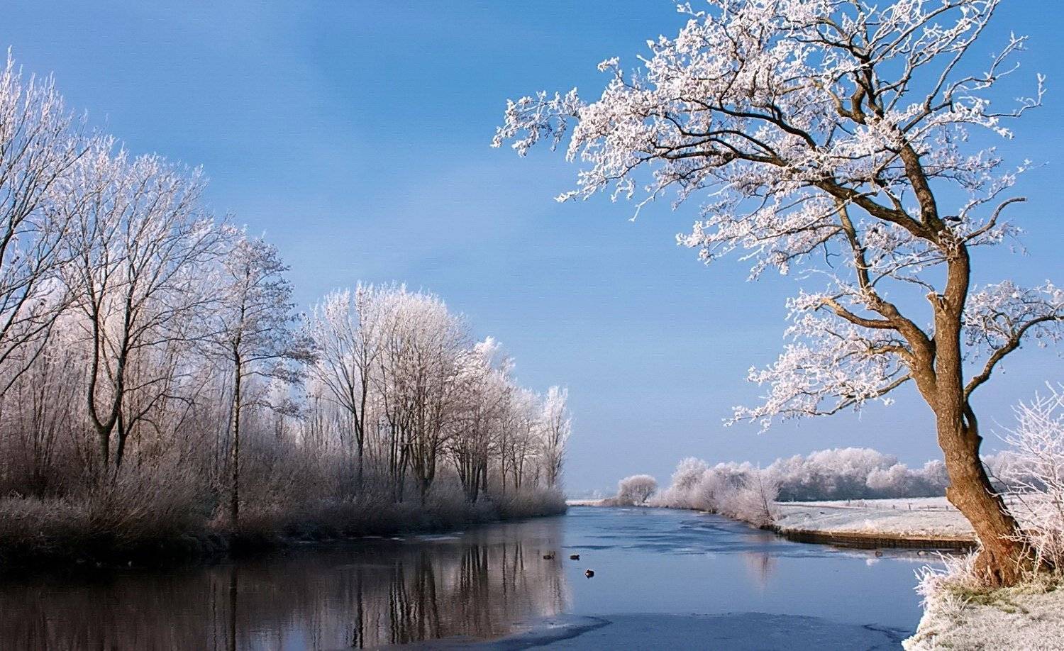 , Razgulyaev Aleksandr