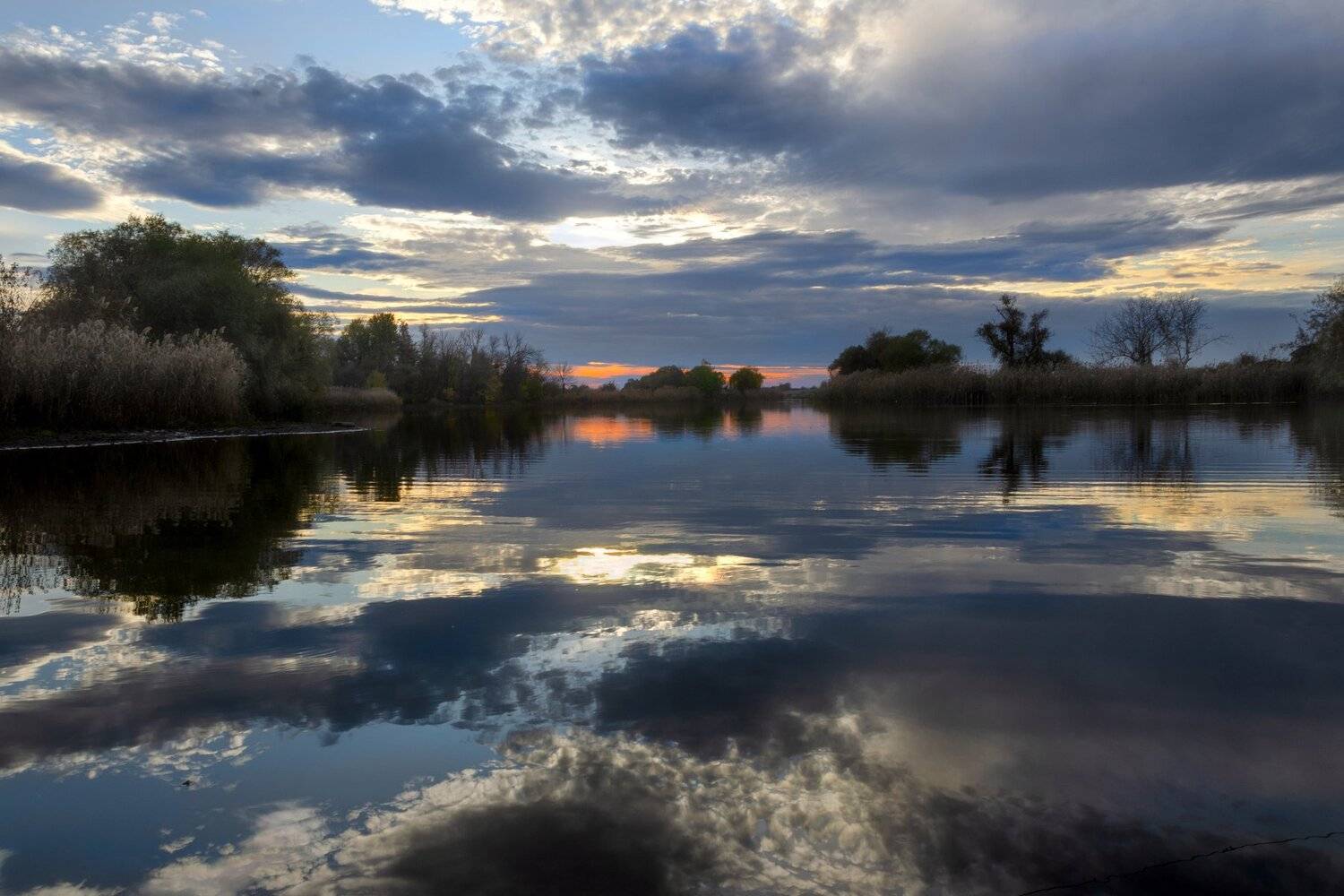 , Алексей Рыльский