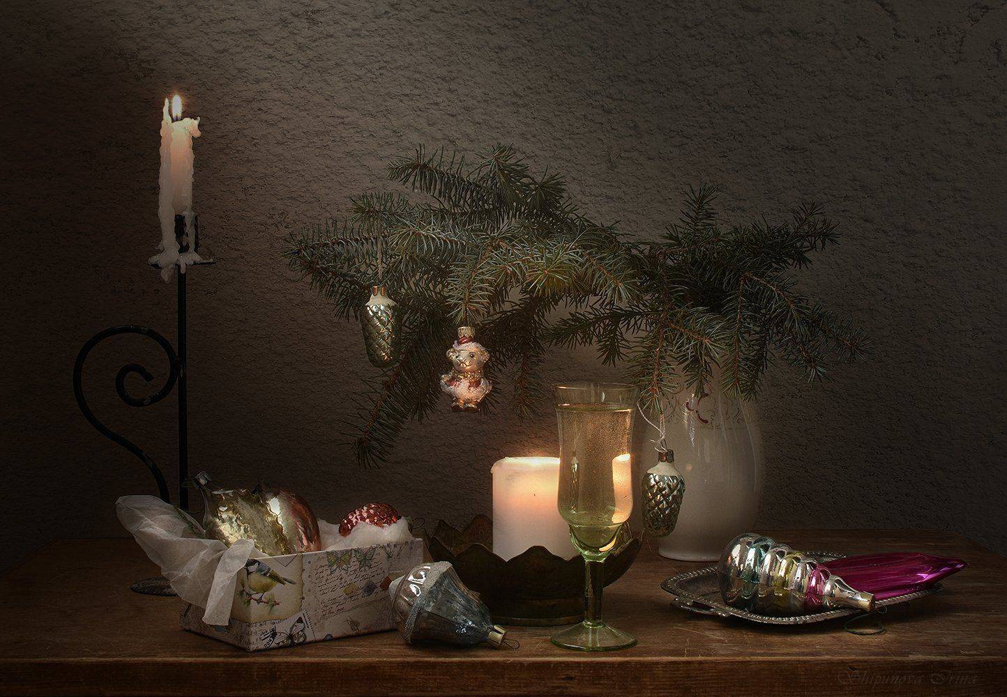 , Шипунова Ирина