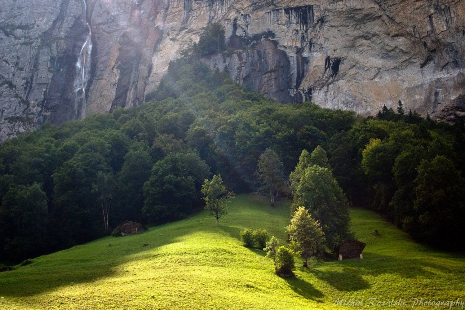 trees, ,light, ,rocks, ,spring, ,green, ,sunrays, ,sunlight, ,, Michal Rozalski