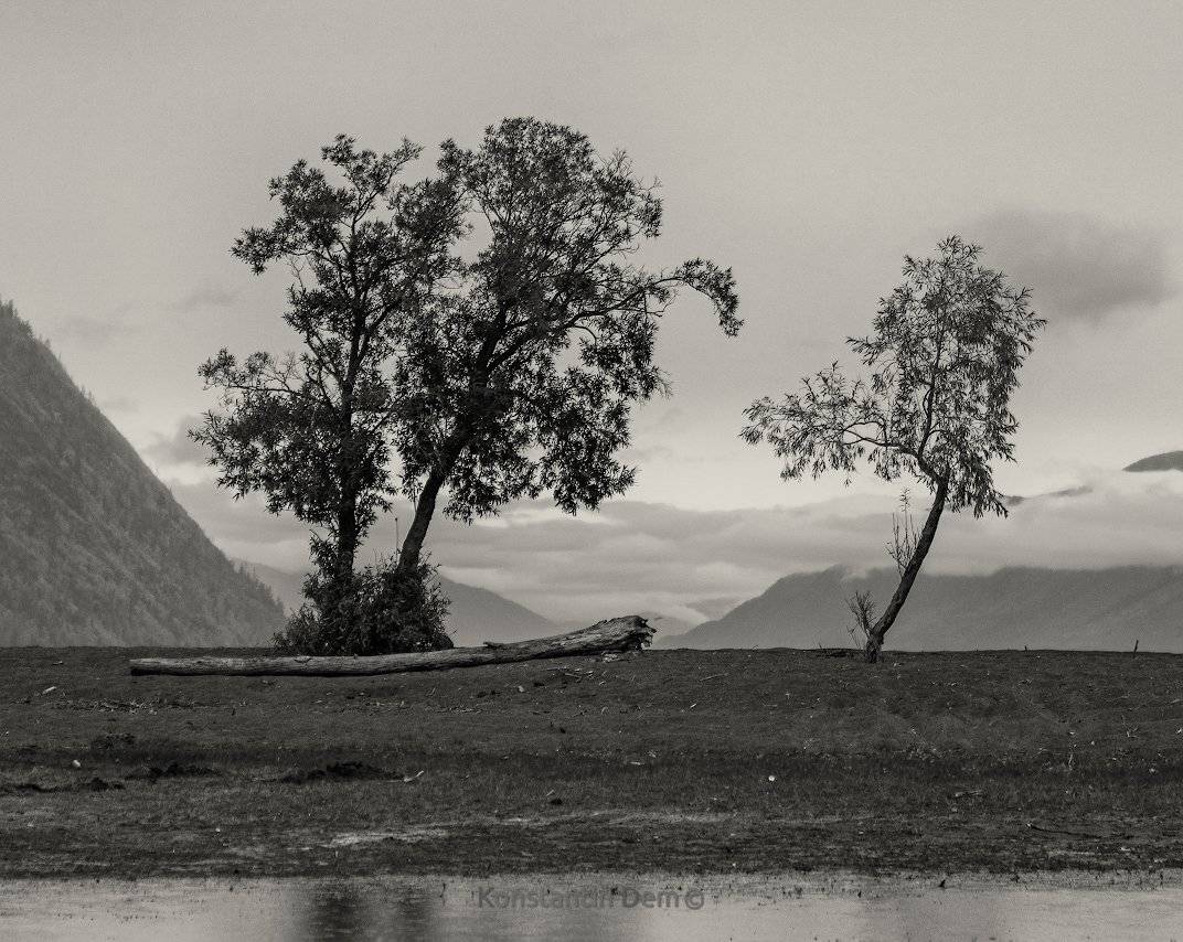 , Константин Дэм