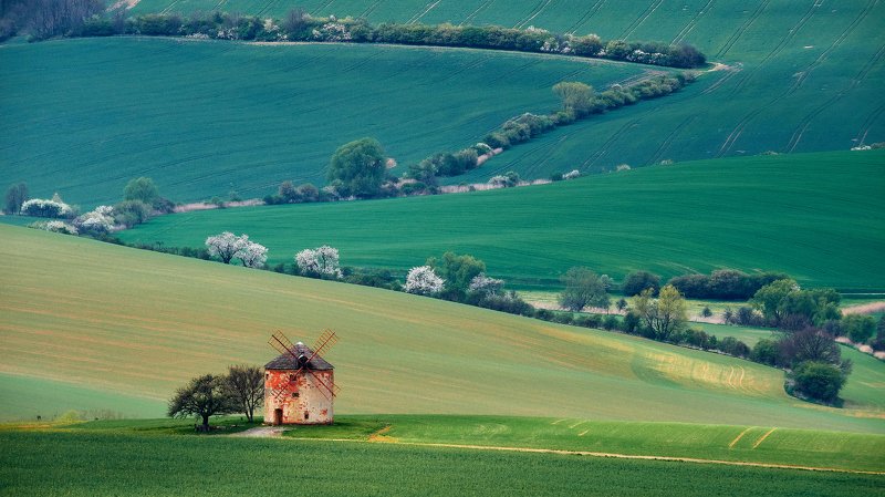 южная моравия, чехия, весна,  south moravia, czech Сельская весна фото превью
