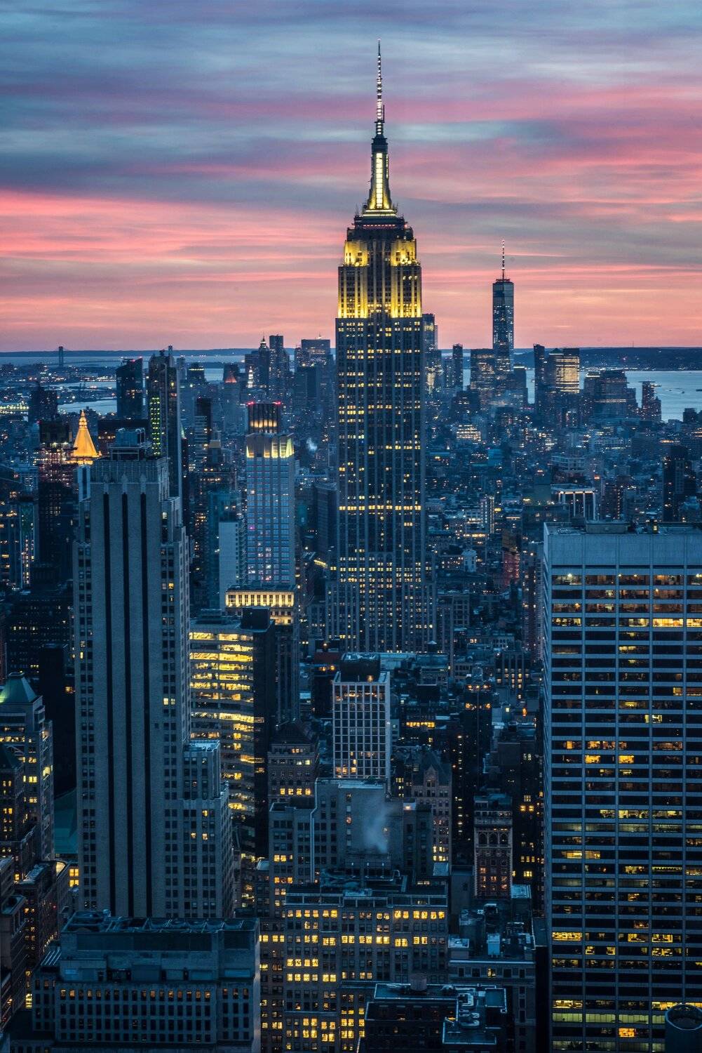 ny, Елена Ермолина