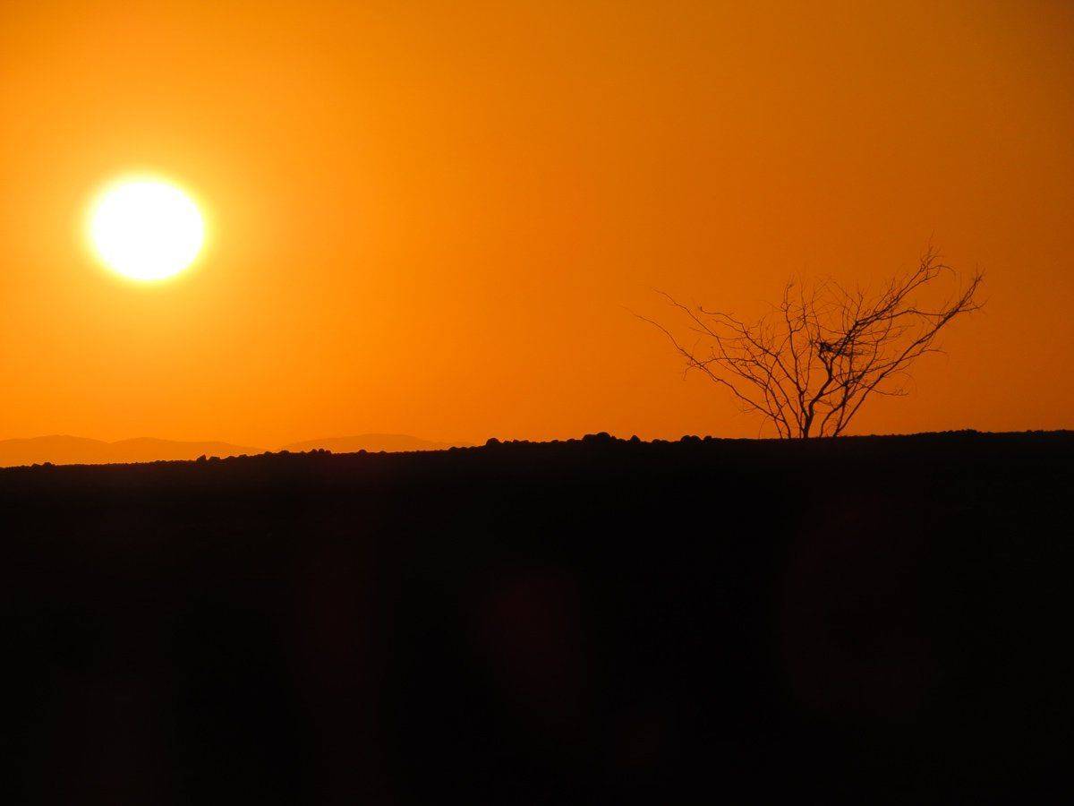 пустыня, Наска, закат, солнце, небо, дерево, силуэт, Сергей Козинцев