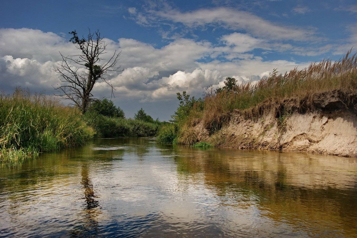 river, summer, poland, река, travel, ja