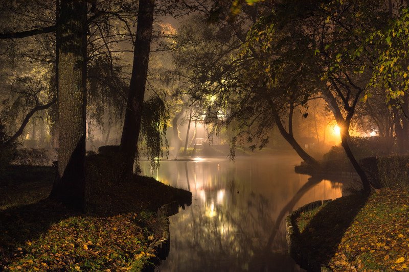 Park in the Fog фото превью