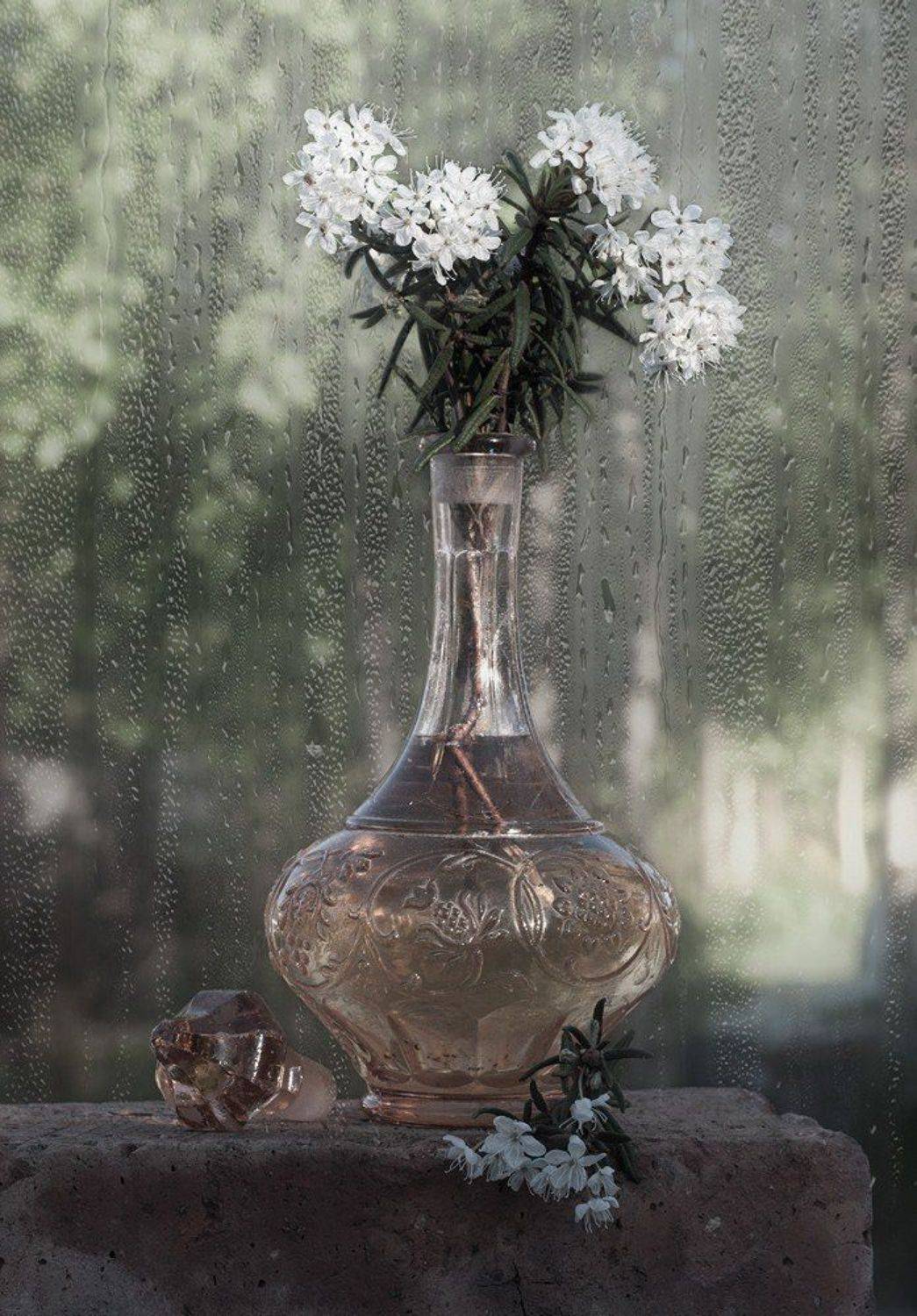 , Valentina Vershinina