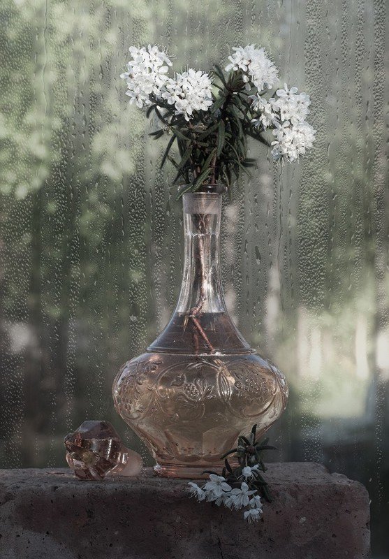 Дачный фото превью