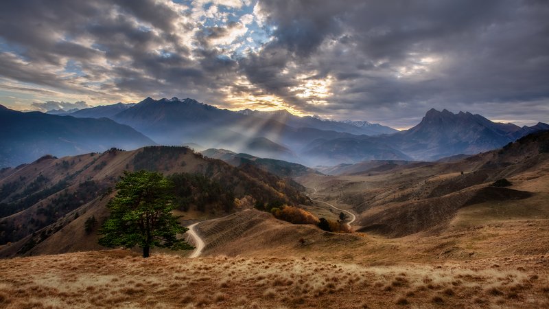 Солнца луч фото превью