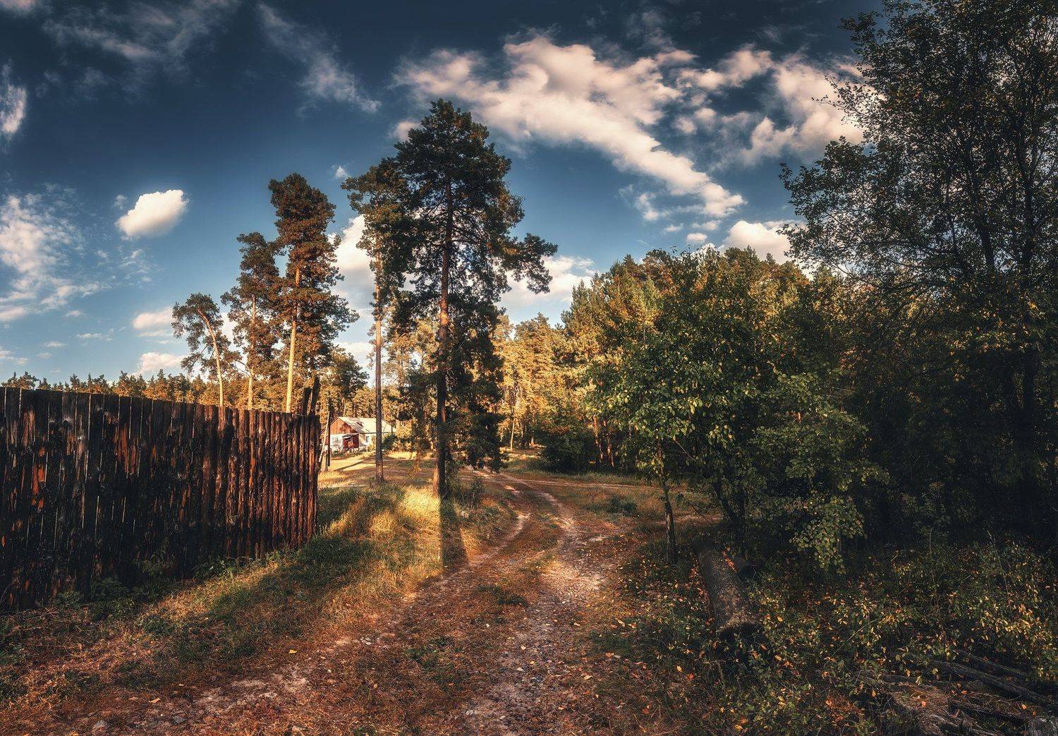 деревня, лес, Андрей Кровлин