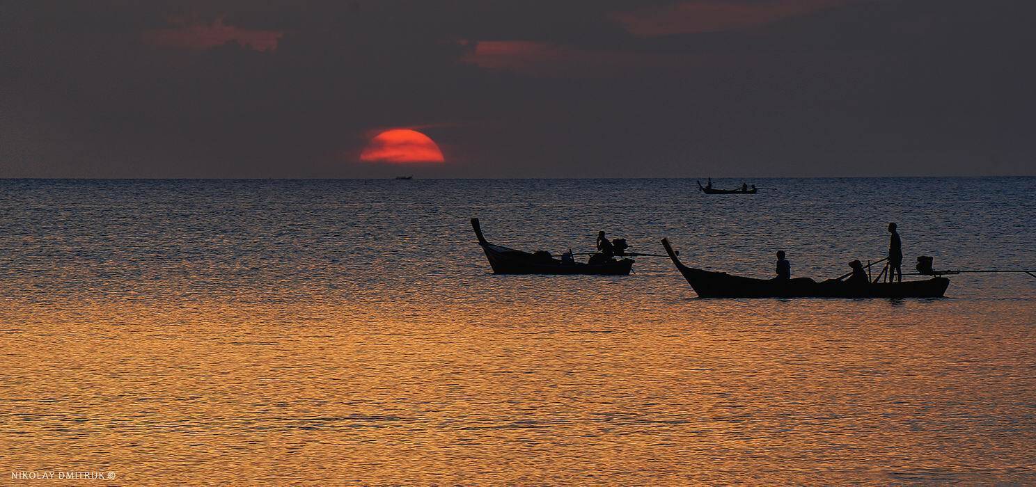пейзаж, николай дмитрук