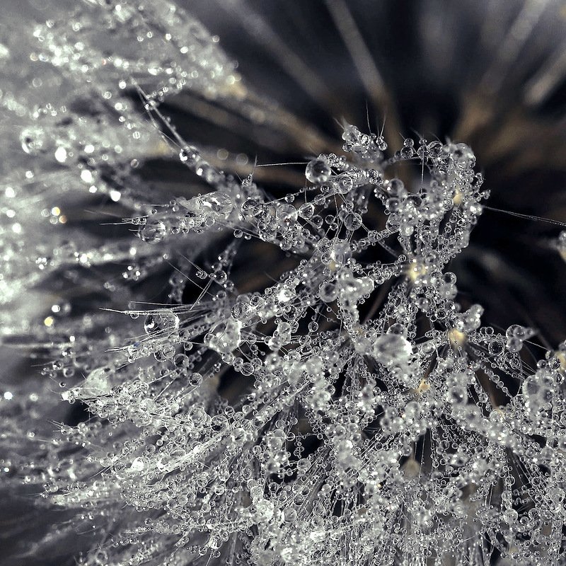 южный, урал, губерля орск, новотроицк Молекулярная.. фото превью