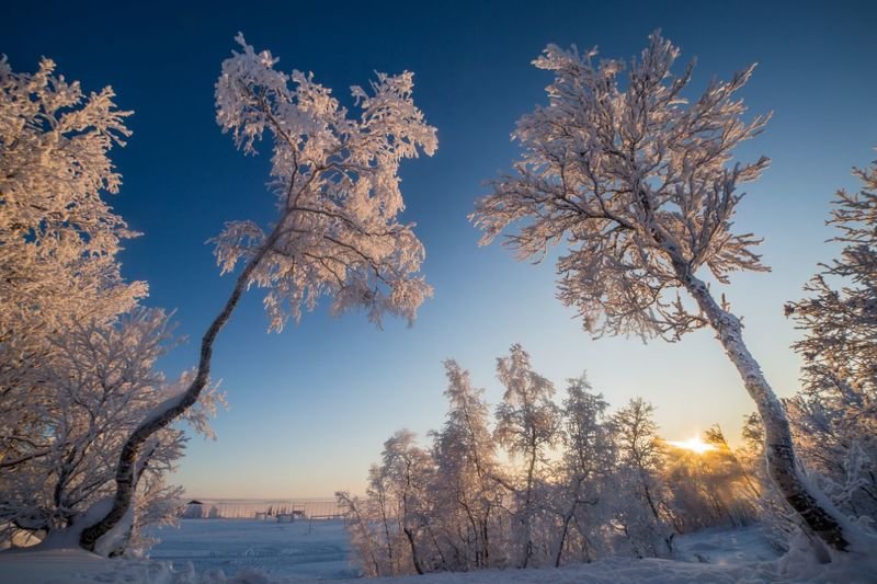 природа, снег, winter, север, кольский край, мороз, sun, солнце, сугробы, тропа Северные пейзажи фото превью