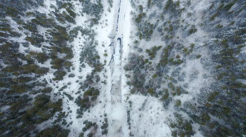 Паровоз в снежном лесу
