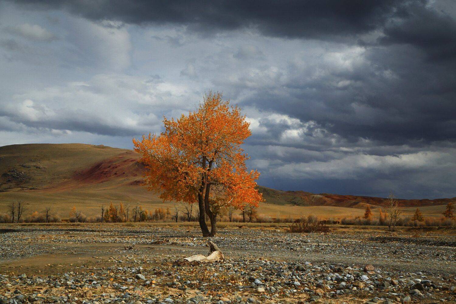 алтай, марс, осень, Евгений Зинов