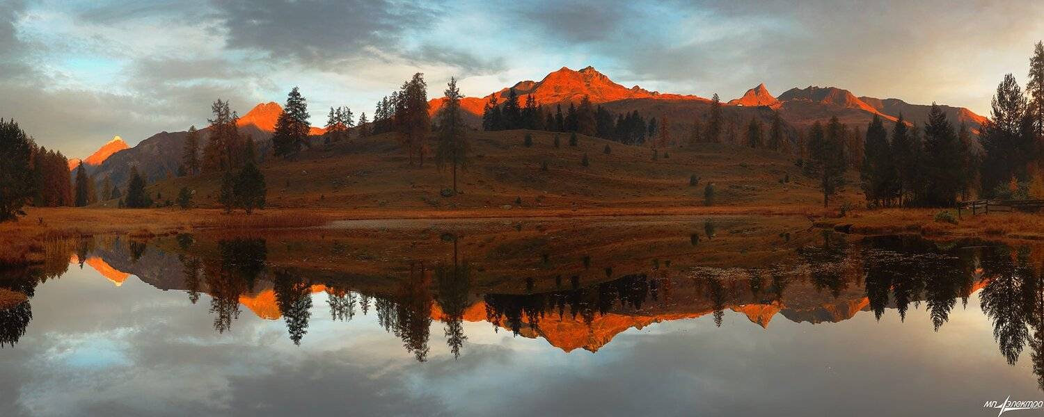 swiss, Матвеев Николай