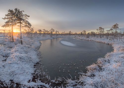 Болотоное утро