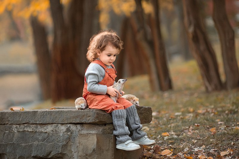 фотопрогулка, детская фотосессия, дети, детская фотосессия, детский фотограф, фотосессия, радость, девочка, счастье, детский и семейный фотограф, детское фото, дети на фото, осень, закат, вечер, малышка, восторг Вот это ежики! фото превью