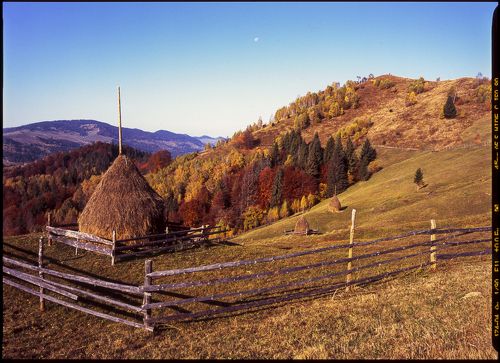 Autumn foliage trees in the mountains. Meadow with haystack and forest in the Carpathian mountains Fuji Velvia film
