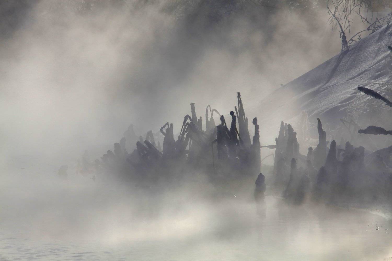 зима, Лихарев Александр