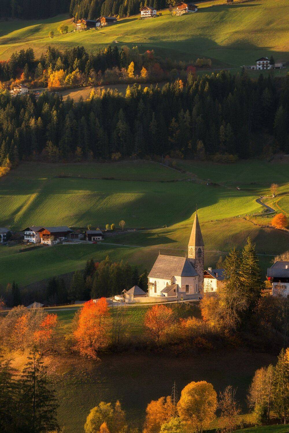 , Михаил Туркеев