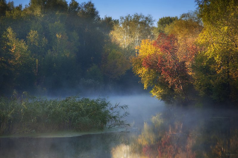 осень,утро,берег,река,лес Осенних дней немного света ... фото превью