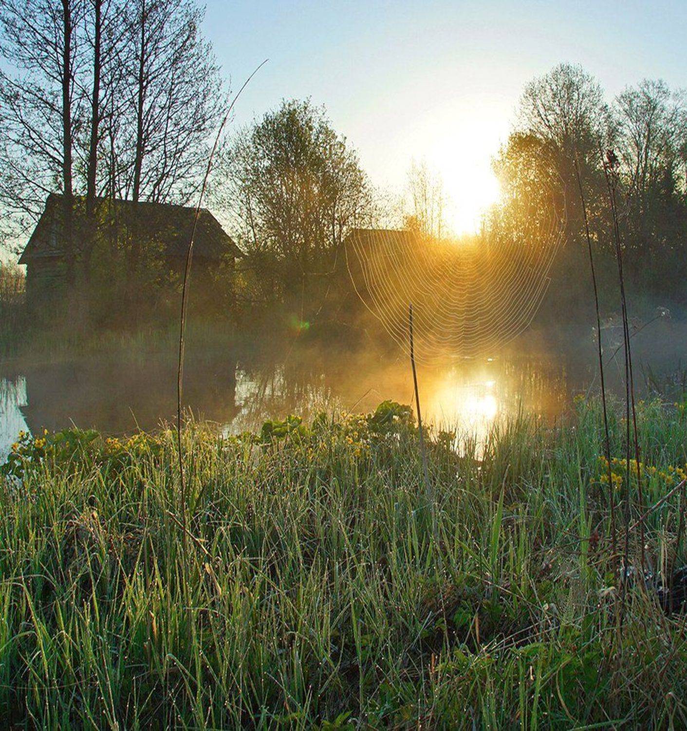 , Петр Косых