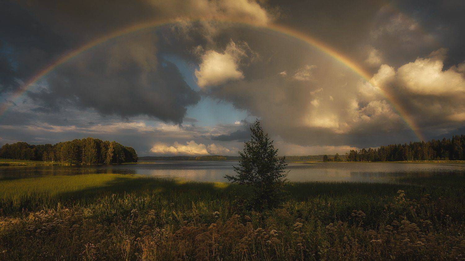 , Олег Дунаев