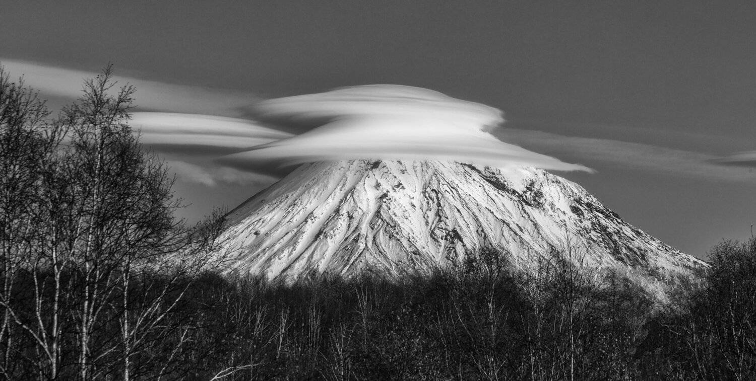 , Александр Максин