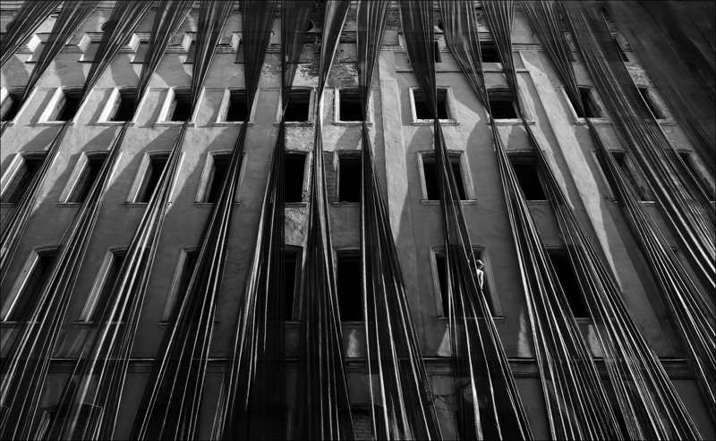 Паруса фото превью